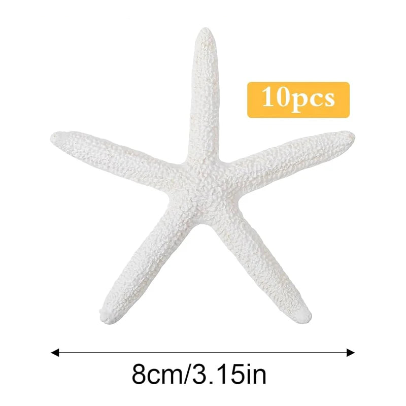 Natural Scallop Shells 2.3''-3'' White Sea Shells for DIY Craft Making, Hand Painting, Ocean Themed Party and Home Décor
