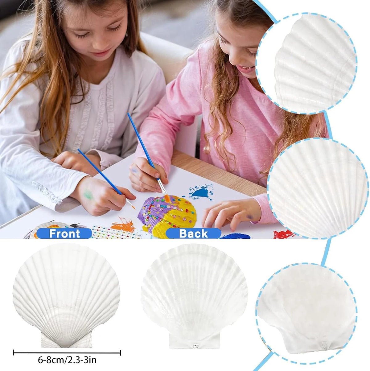Natural Scallop Shells 2.3''-3'' White Sea Shells for DIY Craft Making, Hand Painting, Ocean Themed Party and Home Décor