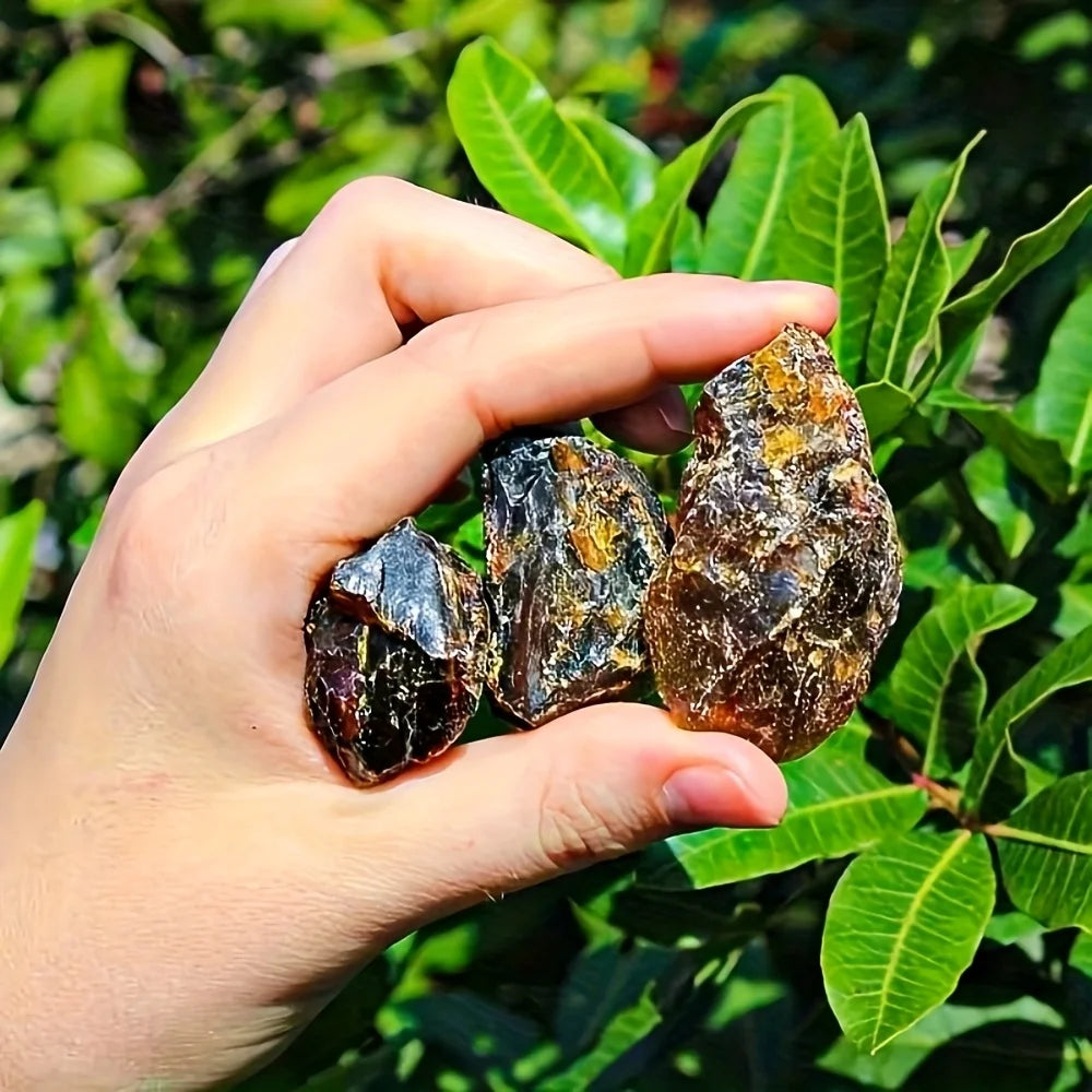 1 piece of unpolished natural amber | Collector's grade rough stone, the perfect gift for Christmas, home décor, and collectors