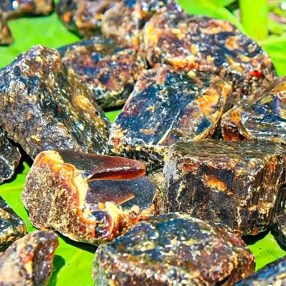1 piece of unpolished natural amber | Collector's grade rough stone, the perfect gift for Christmas, home décor, and collectors