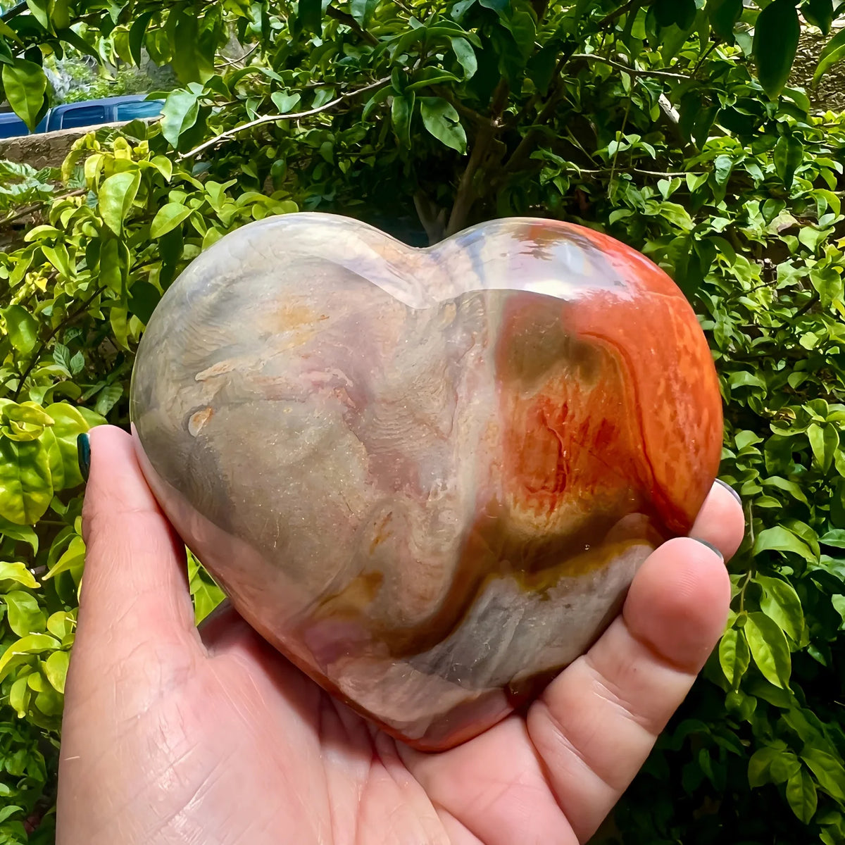 Vibrant and colorful jade heart shapes, earthy-toned crystal hearts—the perfect choice for home décor