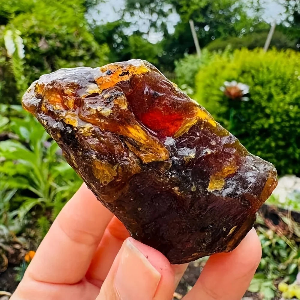1 piece of unpolished natural amber | Collector's grade rough stone, the perfect gift for Christmas, home décor, and collectors