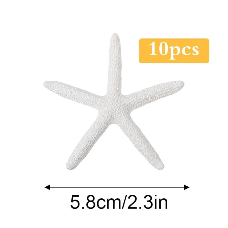 Natural Scallop Shells 2.3''-3'' White Sea Shells for DIY Craft Making, Hand Painting, Ocean Themed Party and Home Décor