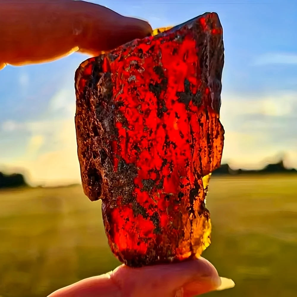 1 piece of unpolished natural amber | Collector's grade rough stone, the perfect gift for Christmas, home décor, and collectors